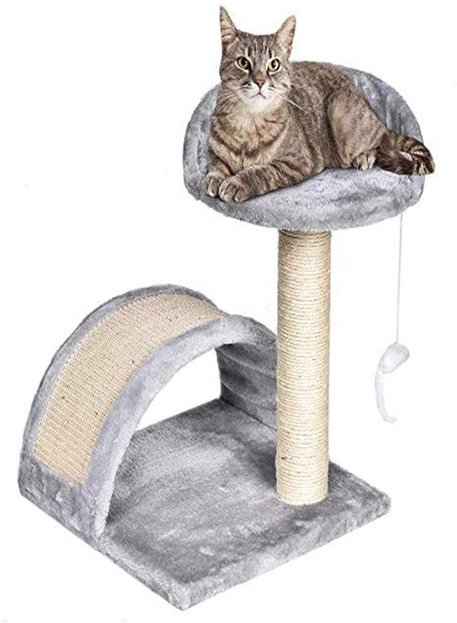 PETLICIOUS & MORE بيتليشوس آند مور شجرة صغيرة للقطط مصنوعة من السيزال، عمود خدش، أثاث، بيت لعب، سرير للحيوانات الأليفة، لعبة للقطط الصغيرة، برج للقطط، منزل للقطط الصغيرة (قد يختلف اللون) - Image 1